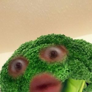 Meet your Posher, Alanis